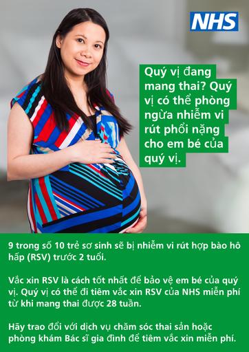 2024 08 08   RSV poster   pregnancy   Vietnamese
