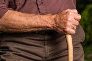 walking stick